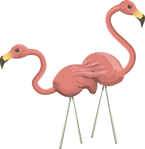 Free Bird Flamingo Water Bird Bird Clipart Clipart Transparent Background