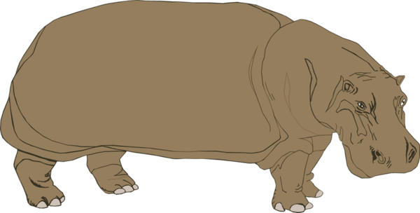 Free Hippo Rhinoceros Wildlife Snout Clipart Clipart Transparent Background