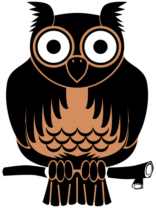 Free Bird Owl Bird Beak Clipart Clipart Transparent Background