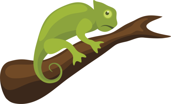 Free Frog Reptile Frog Tail Clipart Clipart Transparent Background