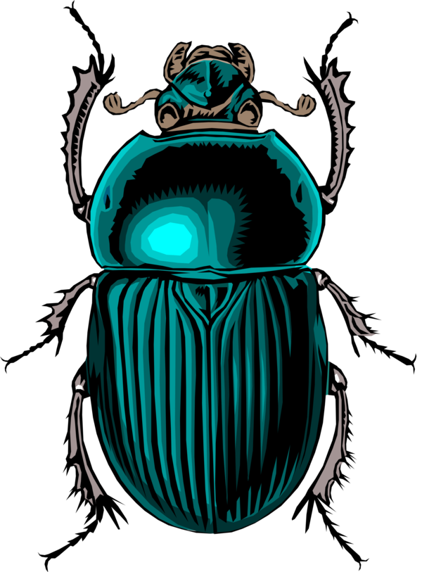 Free Insect Insect Beetle Scarabs Clipart Clipart Transparent Background