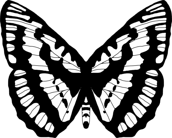 Free Butterfly Butterfly Moths And Butterflies Black And White Clipart Clipart Transparent Background