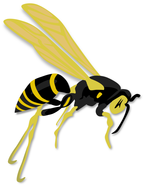 Free Bee Insect Bee Pest Clipart Clipart Transparent Background