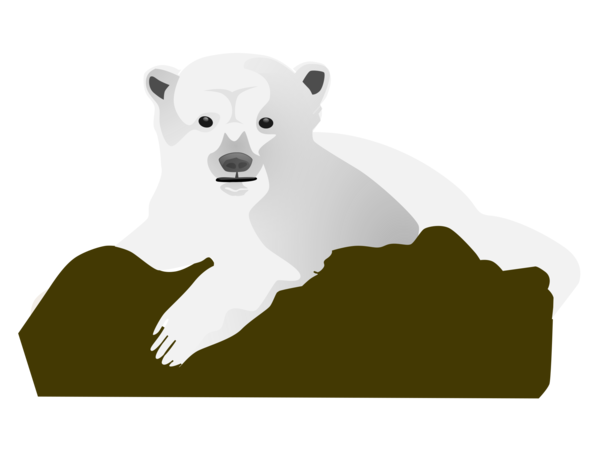 Free Bear Polar Bear Bear Snout Clipart Clipart Transparent Background
