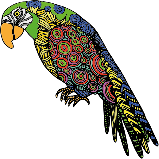 Free Bird Beak Bird Parrot Clipart Clipart Transparent Background