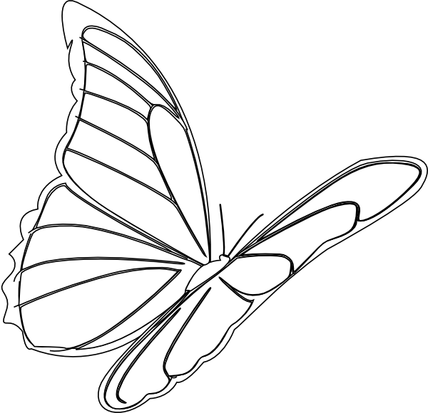 Free Walking Butterfly Moths And Butterflies Black And White Clipart Clipart Transparent Background