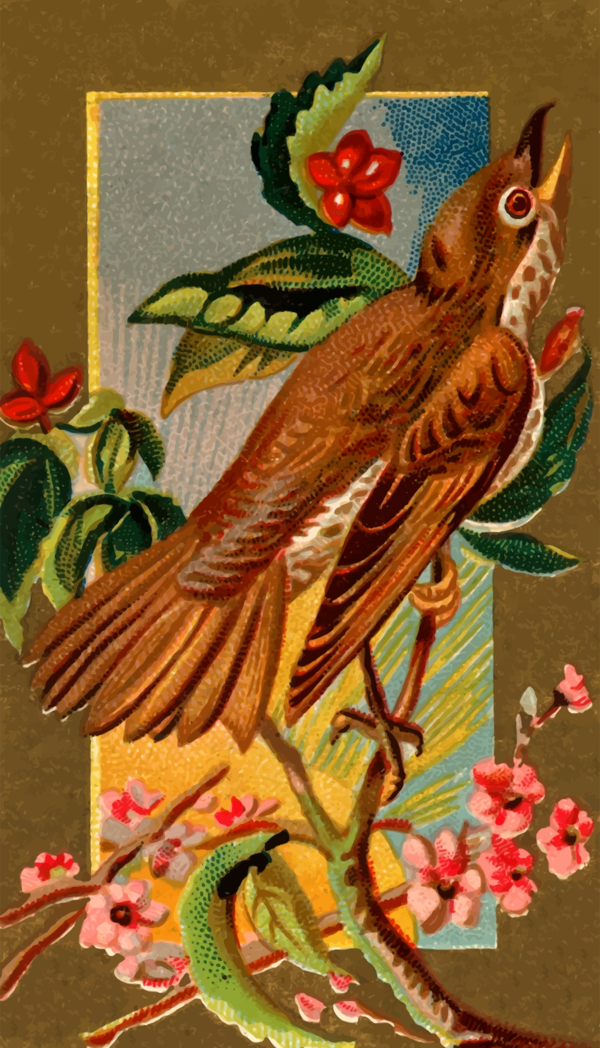 Free Bird Bird Beak Flower Clipart Clipart Transparent Background