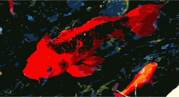Free Fish Fish Koi Goldfish Clipart Clipart Transparent Background
