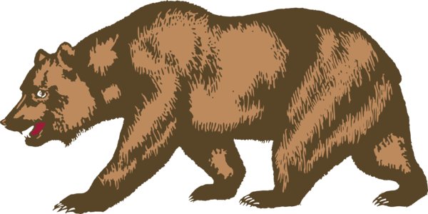 Free Bear Brown Bear Bear Grizzly Bear Clipart Clipart Transparent Background