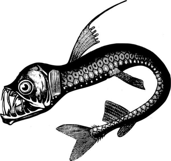 Free Fish Fish Black And White Seafood Clipart Clipart Transparent Background