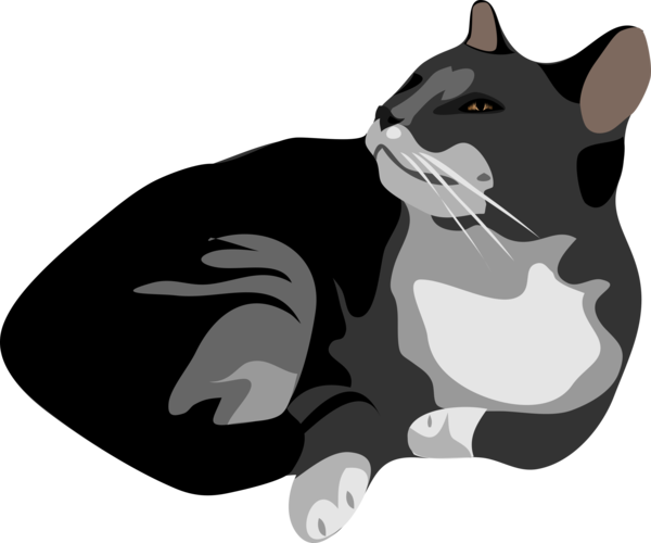 Free Cat Cat Black And White Whiskers Clipart Clipart Transparent Background
