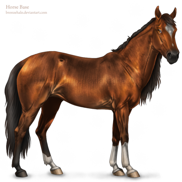 Free Walking Horse Mane Stallion Clipart Clipart Transparent Background