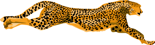 Free Cat Wildlife Cheetah Leopard Clipart Clipart Transparent Background