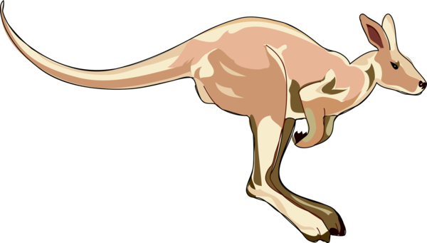 Free Deer Kangaroo Macropodidae Wildlife Clipart Clipart Transparent Background