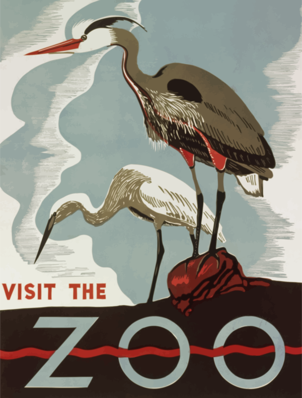 Free Bird Advertising Poster Beak Clipart Clipart Transparent Background