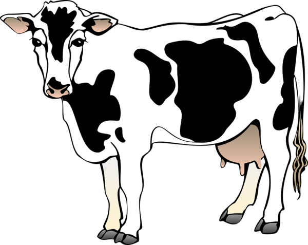 Free Cow Dairy Cow Black And White Livestock Clipart Clipart Transparent Background