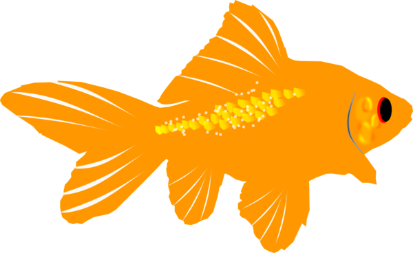 Free Fish Fish Tail Goldfish Clipart Clipart Transparent Background