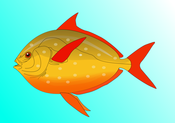 Free Fish Fish Seafood Fin Clipart Clipart Transparent Background