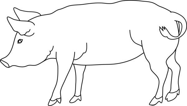 Free Donkey Line Art Black And White Wildlife Clipart Clipart Transparent Background