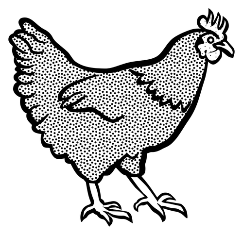 Free Bird Chicken Bird Beak Clipart Clipart Transparent Background