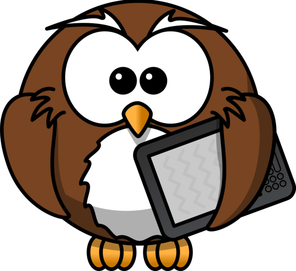 Free Bird Bird Beak Owl Clipart Clipart Transparent Background