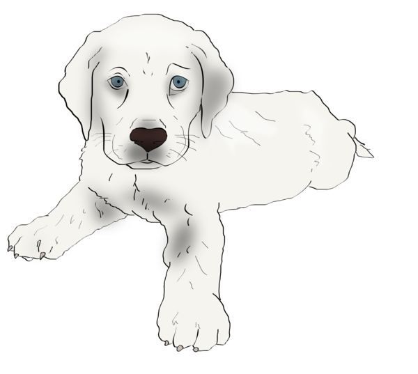 Free Dog Dog Puppy Line Art Clipart Clipart Transparent Background