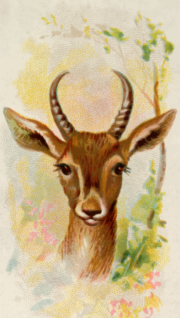 Free Deer Horn Wildlife Deer Clipart Clipart Transparent Background