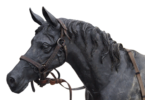 Free Horse Horse Bridle Halter Clipart Clipart Transparent Background