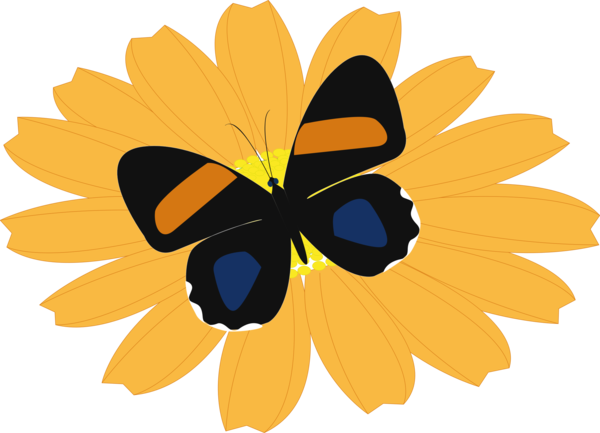 Free Butterfly Flower Butterfly Moths And Butterflies Clipart Clipart Transparent Background