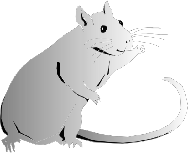 Free Cat Rat Black And White Mouse Clipart Clipart Transparent Background