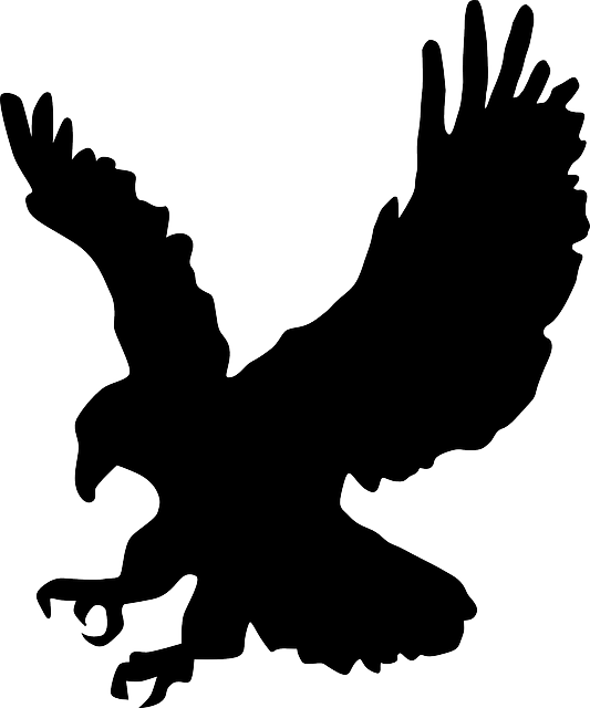 Free Bird Black And White Beak Silhouette Clipart Clipart Transparent Background