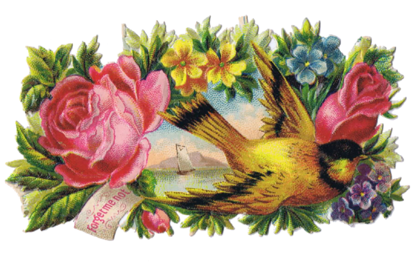 Free Bird Flower Flower Arranging Floristry Clipart Clipart Transparent Background