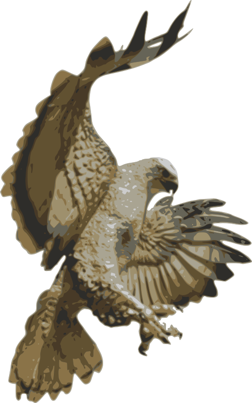 Free Bird Bird Of Prey Eagle Bird Clipart Clipart Transparent Background