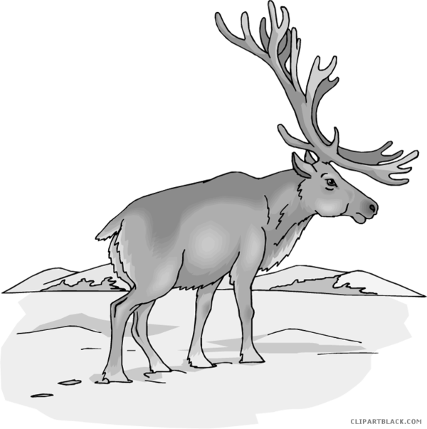 Free Deer Wildlife Deer Reindeer Clipart Clipart Transparent Background