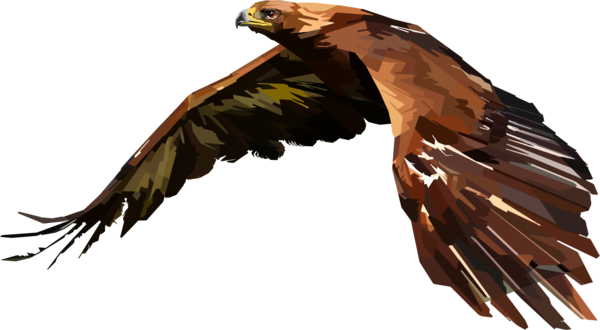 Free Bird Bird Hawk Eagle Clipart Clipart Transparent Background