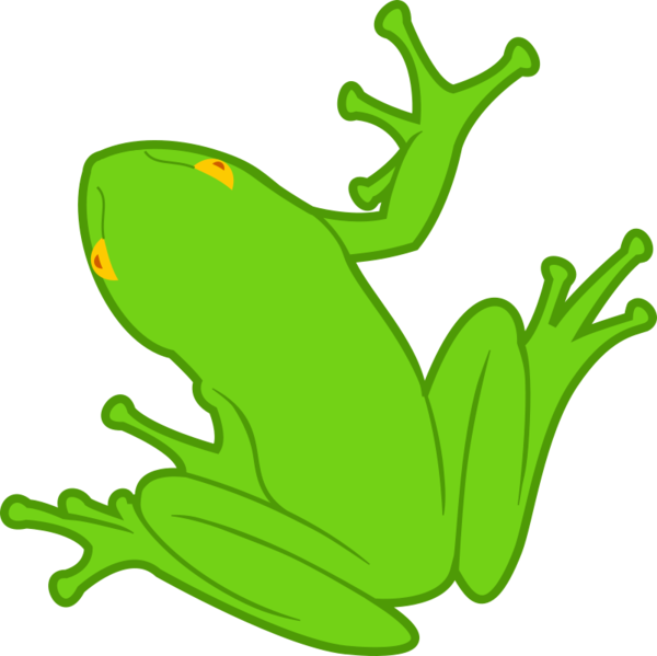 Free Frog Tree Frog Toad Frog Clipart Clipart Transparent Background