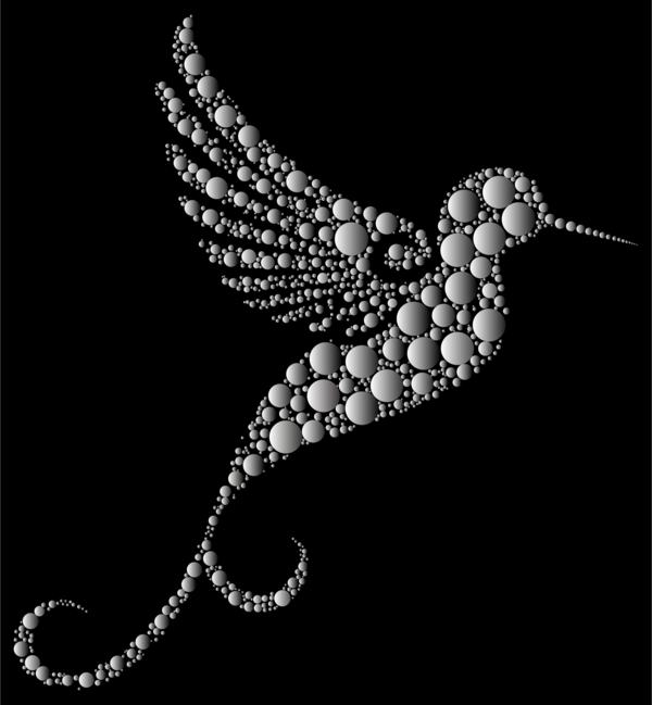 Free Hummingbird Black And White Jewellery Still Life Photography Clipart Clipart Transparent Background