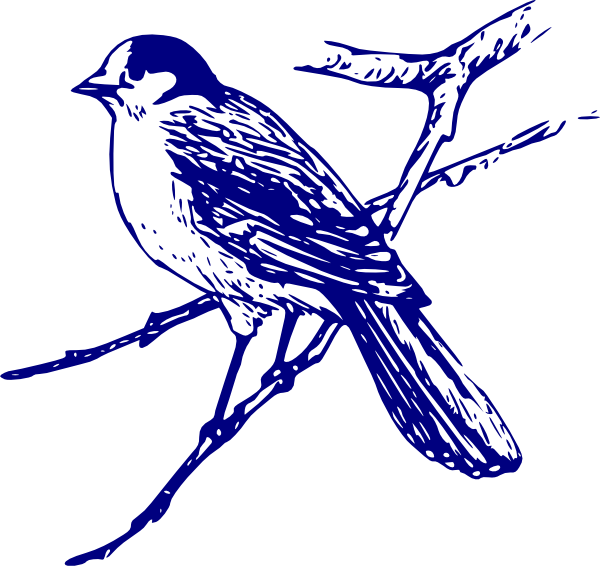 Free Bird Bird Beak Branch Clipart Clipart Transparent Background