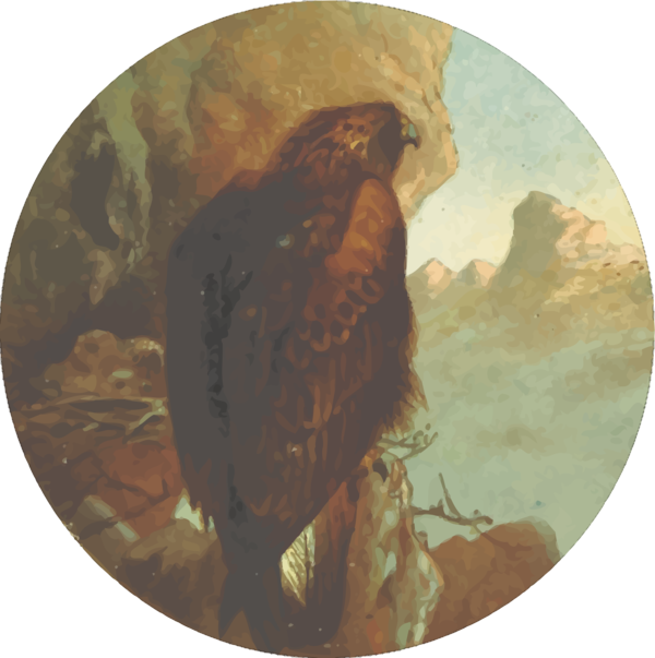 Free Bird Beak Bird Of Prey Eagle Clipart Clipart Transparent Background