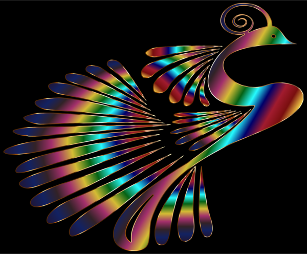 Free Bird Feather Wing Beak Clipart Clipart Transparent Background