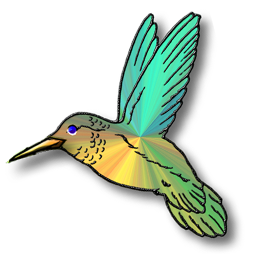 Free Bird Bird Beak Hummingbird Clipart Clipart Transparent Background