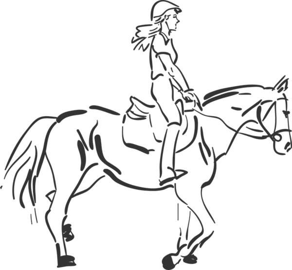 Free Donkey Horse Bridle Clothing Clipart Clipart Transparent Background