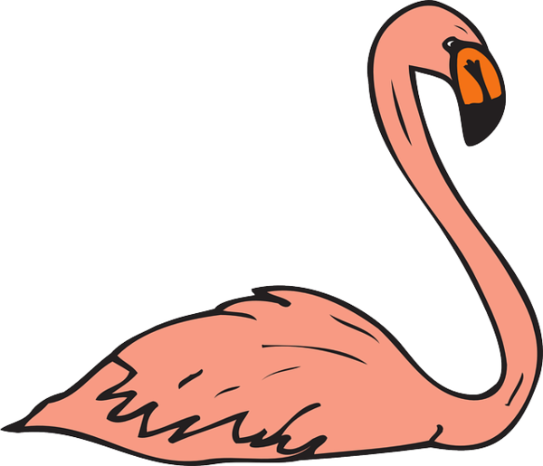 Free Bird Beak Water Bird Flamingo Clipart Clipart Transparent Background