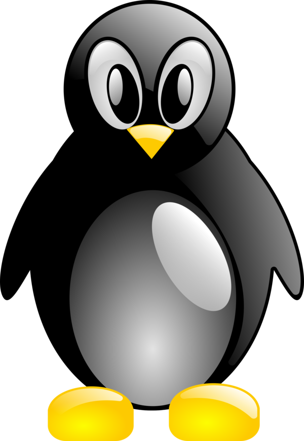 Free Bird Penguin Bird Beak Clipart Clipart Transparent Background