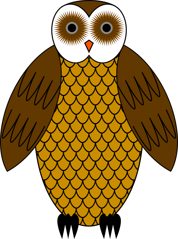 Free Bird Beak Owl Bird Clipart Clipart Transparent Background