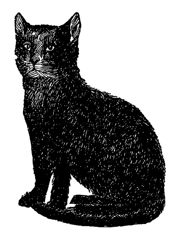 Free Cat Cat Black And White Black Cat Clipart Clipart Transparent Background