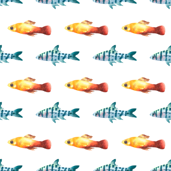 Free Fish Fish Petal Clipart Clipart Transparent Background