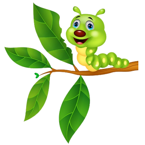 Free Insect Leaf Insect Food Clipart Clipart Transparent Background