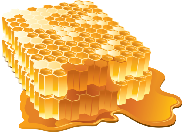 Free Bee Honeycomb Honey Material Clipart Clipart Transparent Background