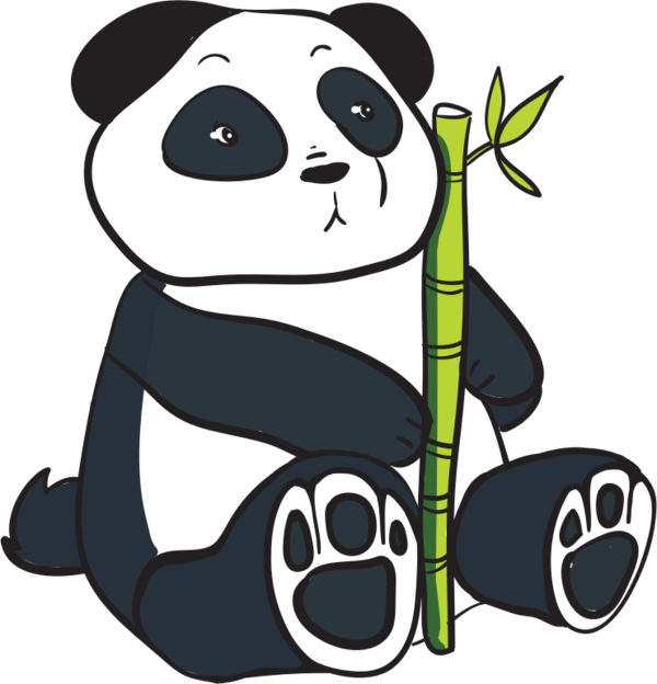 Free Bear Bear Giant Panda Snout Clipart Clipart Transparent Background